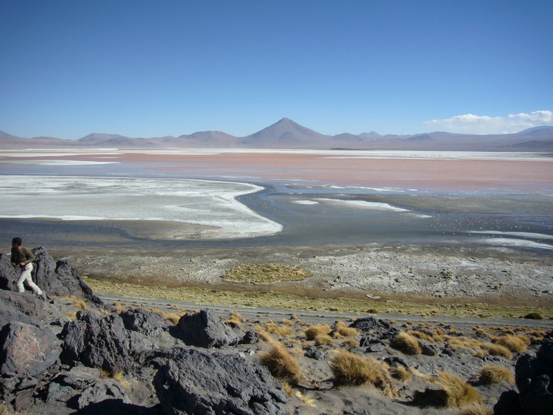 Laguna 4